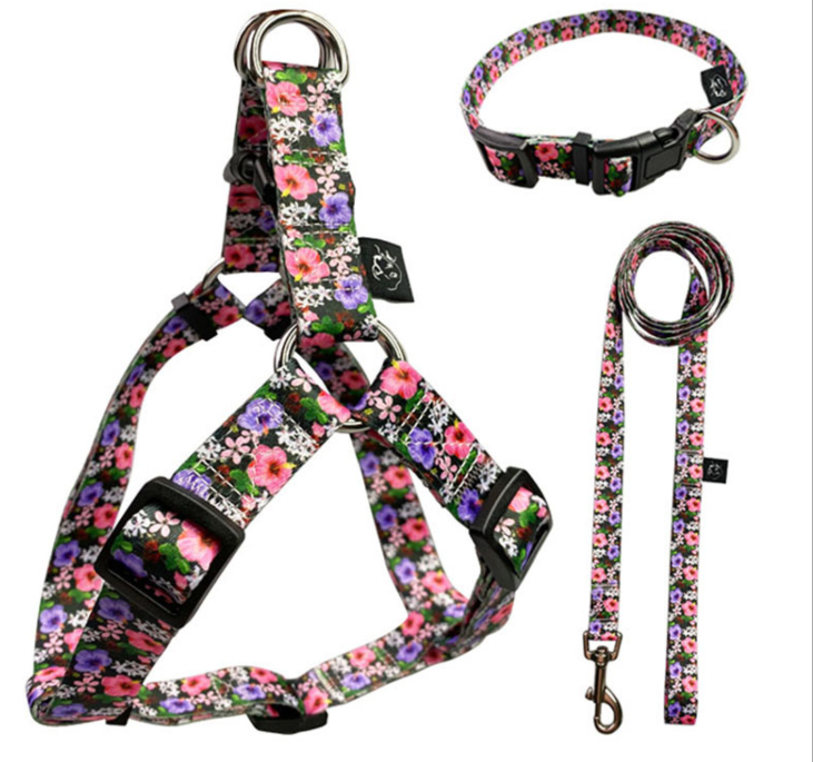 pet collar & leashes