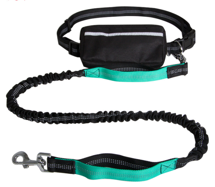 pet lead reflective dog leash for running walking(DL7012-1)